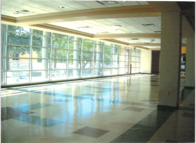 wall of glass windows